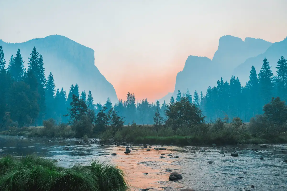 Nature photo
