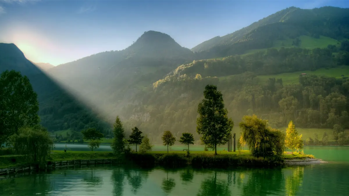 Nature photo