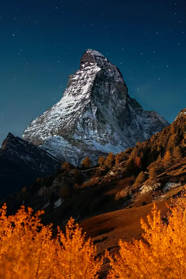 Nature photo